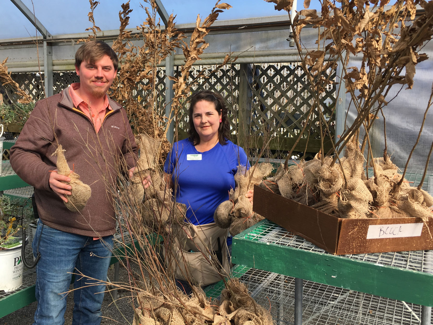 Lavender Mountain giving away free tree seedlings for Arbor Day